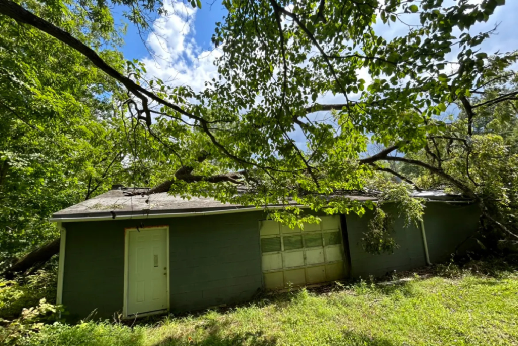 Expert Tree Removal Services in Perkasie | ATS Tree Services