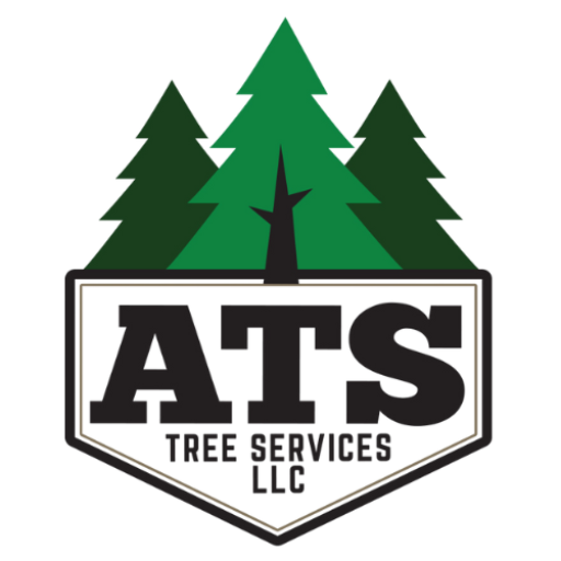 Expert Tree Removal Services in Perkasie | ATS Tree Services